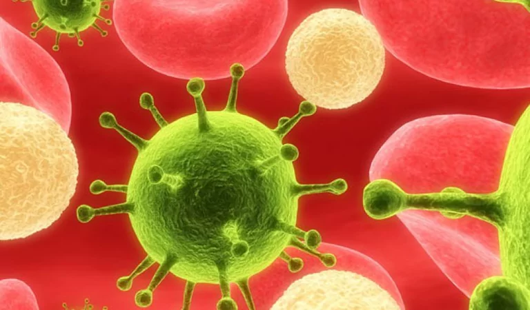 Herpes genital